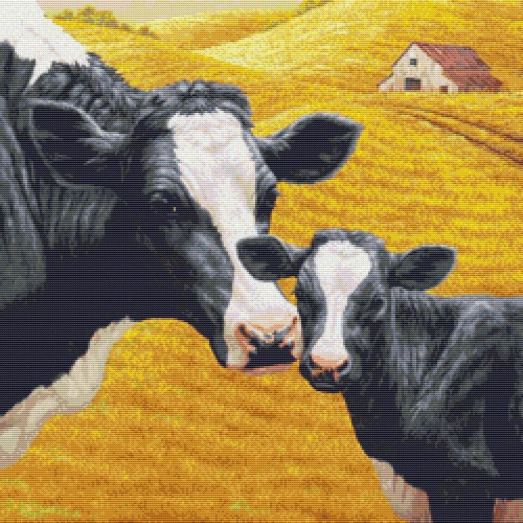 Holstein Cow and Calf